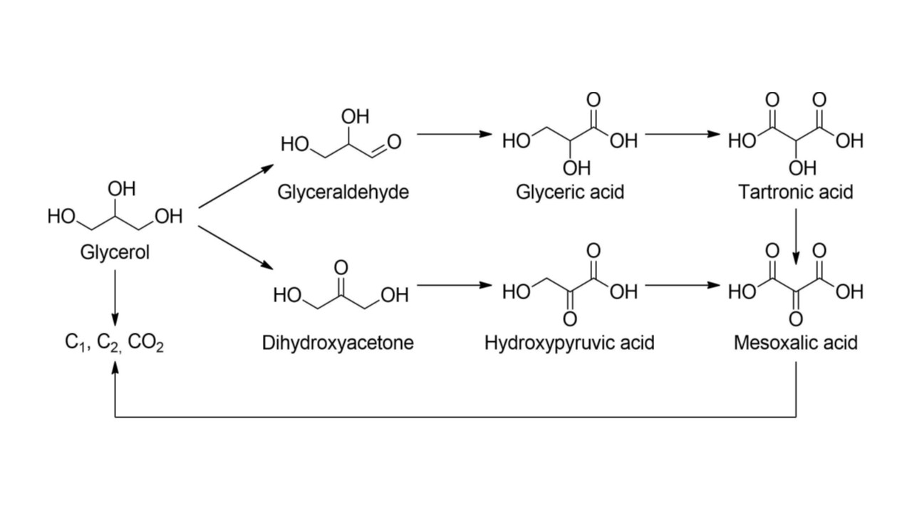 Glycerol Oxidation Products