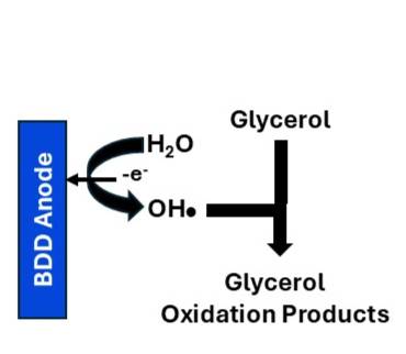BDD Glycerol Oxidation