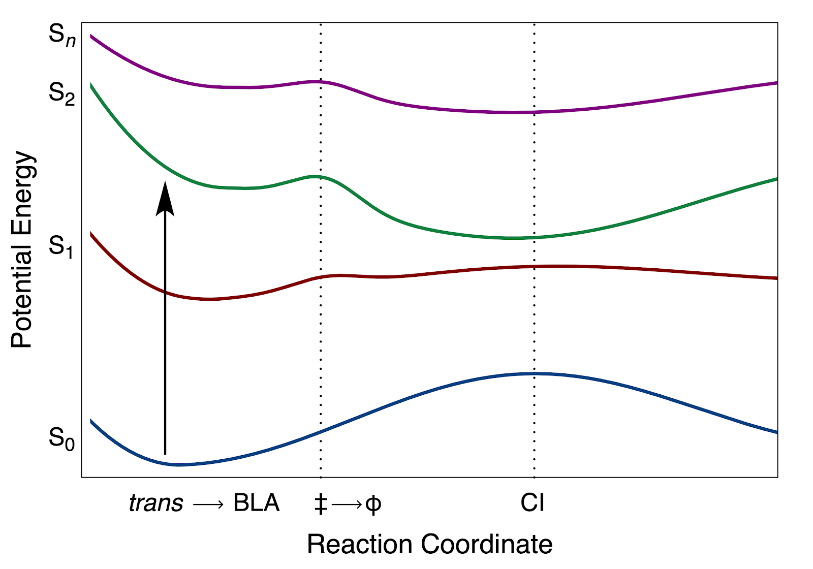 /_assets/_images/beck-research-group/potentials%20with%20Sn%20state%20no%20cis.png
