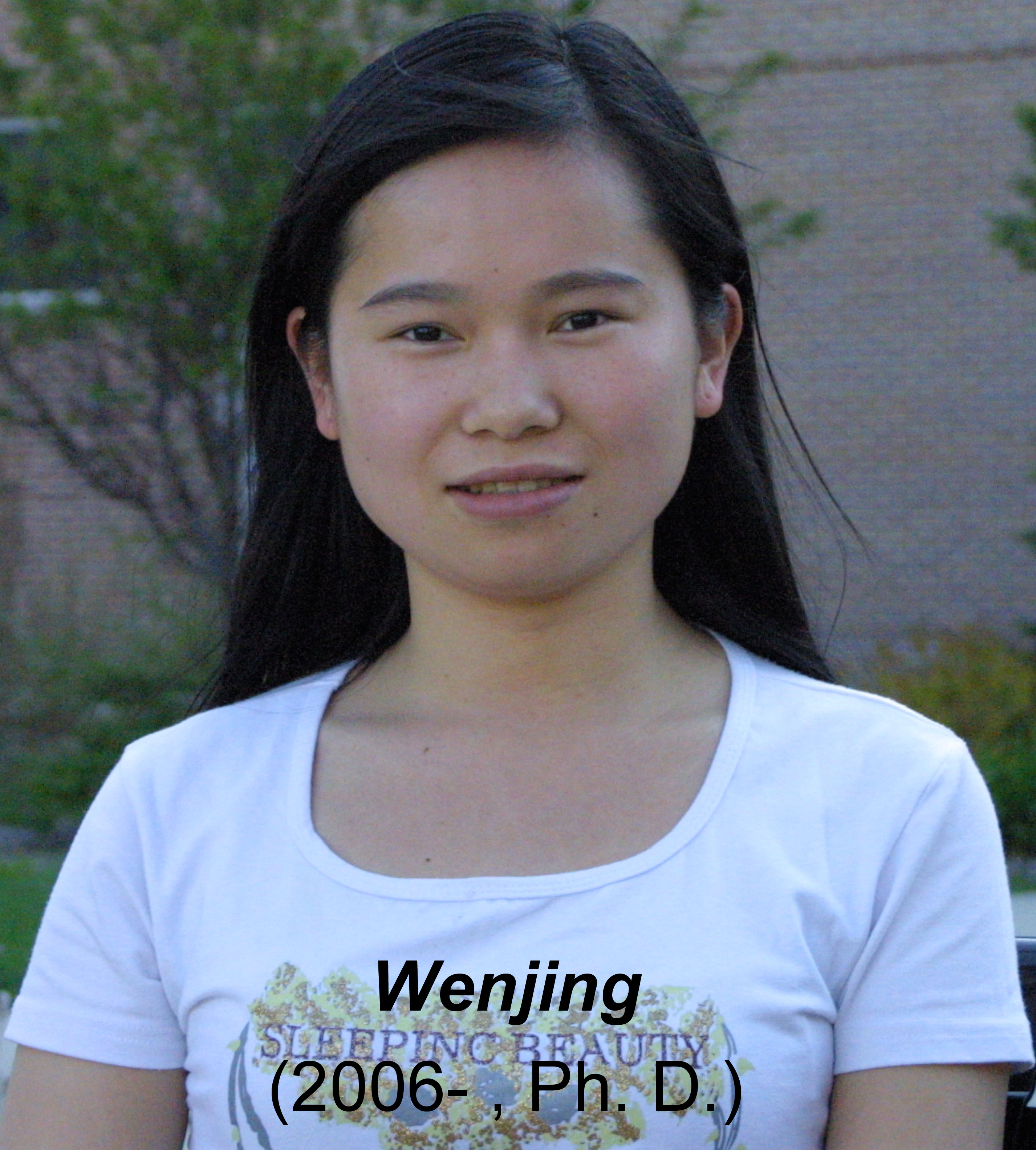 Wenjing Wang