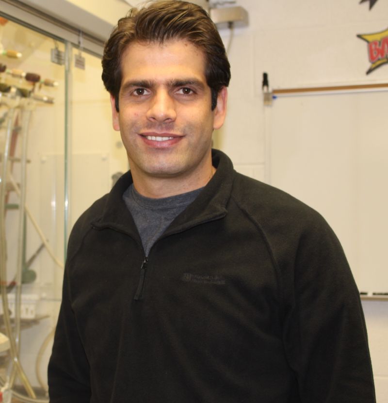 Hadi Gholami