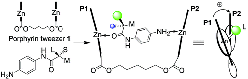 Absolute Determination of Chiral Carboxylic Acids