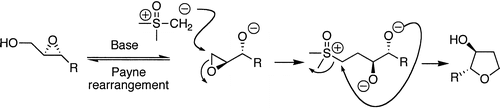 Synthesis of Diastereomerically and Enantiomerically Pure 2,3-Disubstituted Tetrahydrofurans Using a Sulfoxonium Ylide
