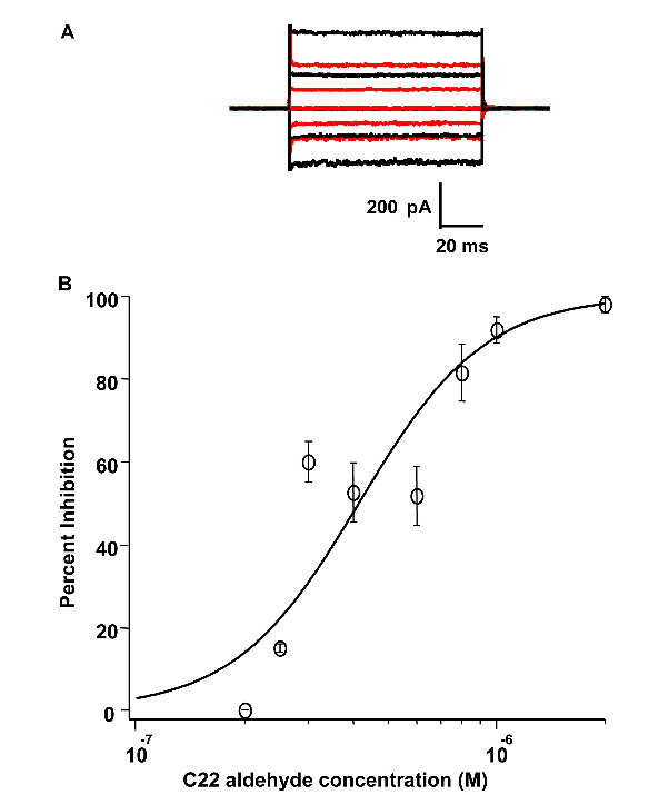 Defining the Retinoid Binding Site in the Rod Cyclic Nucleotide-Gated Channel