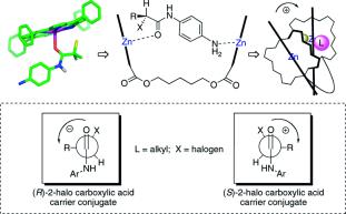 An Unusual Conformation of alpha-Haloamides due to Coperative Binding With Zincated Porphyrins