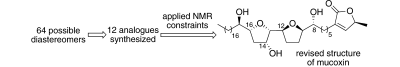 A Minimalist Approach for the Structural Revision of Mucoxin