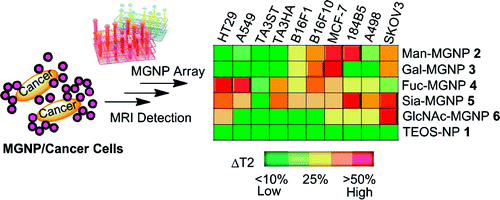 Magnetic Glyco-Nanoparticles: A Tool to Detect, Differentiate and Unlock the Glyco-codes of Cancer via Magnetic Resonance Imaging