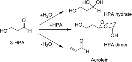 The Antimicrobial Compound Reuterin (3-Hydroxypropion Aldehyde) Includes Oxidative Stress via Interaction with Thiol Groups