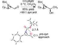 Selectivity in the Addition Reactions of Organometallic Reagents to Aziridine-2-carboxaldehydes: The Effects of Protecting Groups and Substitution Patterns