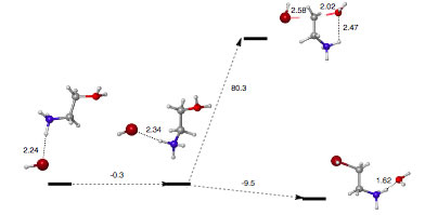 Selectivity of Labeled Bromoethylamine for Protein Alkylation
