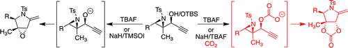 3,4-Dihydroxypyrrolidines via Modified Tandem Aza-Payne/Hydroamination Pathway