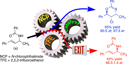 Kinetic Resolution of Unsaturated Amides in a Chlorocyclization Reaction: Concomitant Enantiomer Differentiation and Face Selective Alkene Chlorination by a Single Catalyst