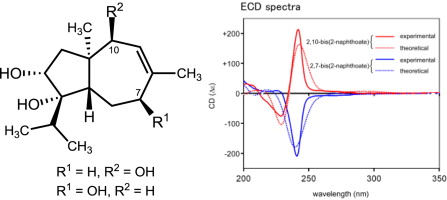 7-beta- and 10-beta-Hydroxylated congeners of CAF-603; elucidation of absolute configuration of CAF-603 family, and their SAR studies in the anti-fungal activity