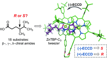 Sensing Remote Chirality: Stereochemical Determination of beta-, gamma-, and delta-Chiral Carboxylic Acids