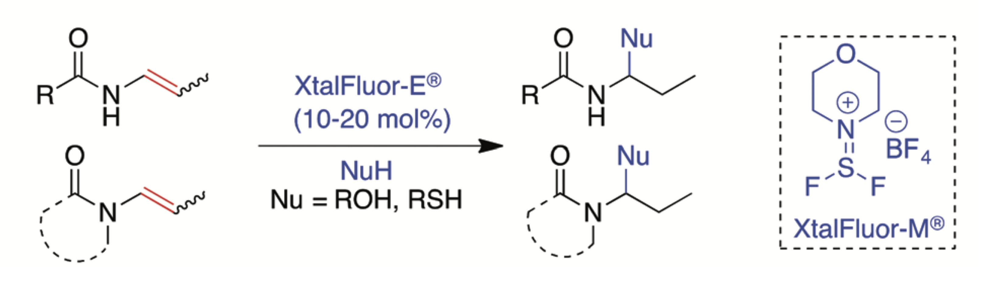 XtalFluor-E mediated proto-functionalization of N-vinyl amides: access to N-acetyl N,O-acetals