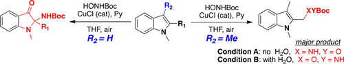 Cu-Catalyzed Oxidation of C2 and C3 Alkyl-Substituted Indole via Acyl Nitroso Reagents