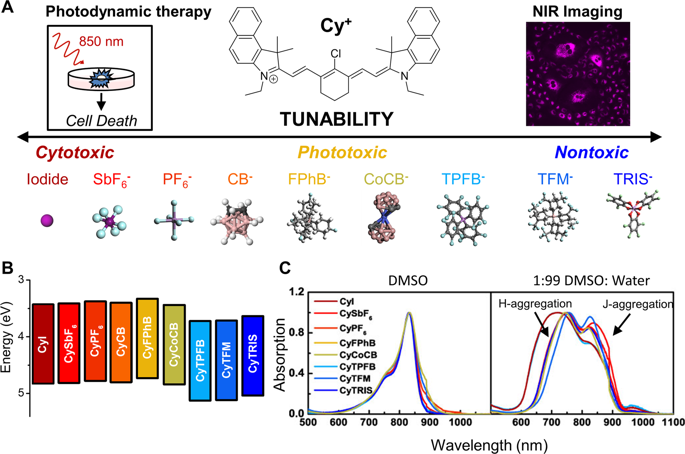 Modulating Cellular Cytotoxocity and Phototoxicity of Fluorescent Organic Salts Through Counterion Pairing