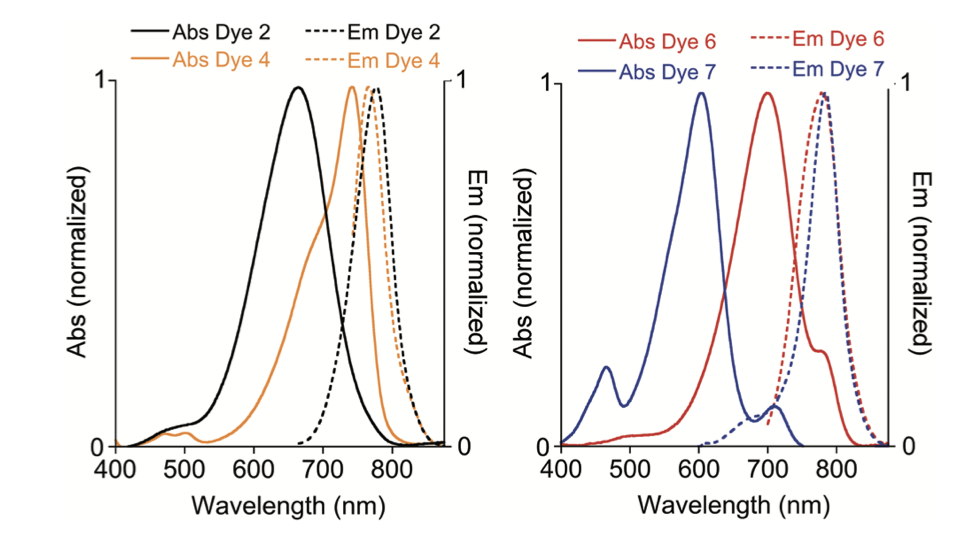 General strategy for tuning the Stokes shifts of near infrared cyanine dyes