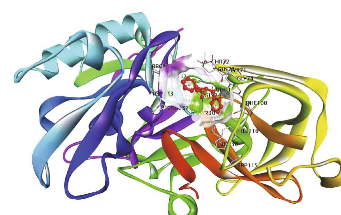 Biological Evaluation of Newly Synthesized Biaryl Guanidine Derivatives to Arrest β-Secretase Enzymatic Activity Involved in Alzheimer’s Disease
