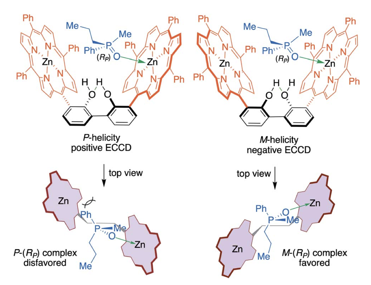 A chiroptical approach for the absolute stereochemical determination of P-stereogenic centers