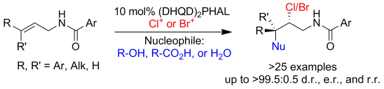 Synthetic Methodology, Assymetric Catalysis, Total Synthesis of Natural Products