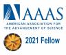 2020 AAAS Fellow