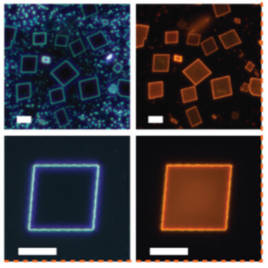 Compare and contrast image of crystals.
