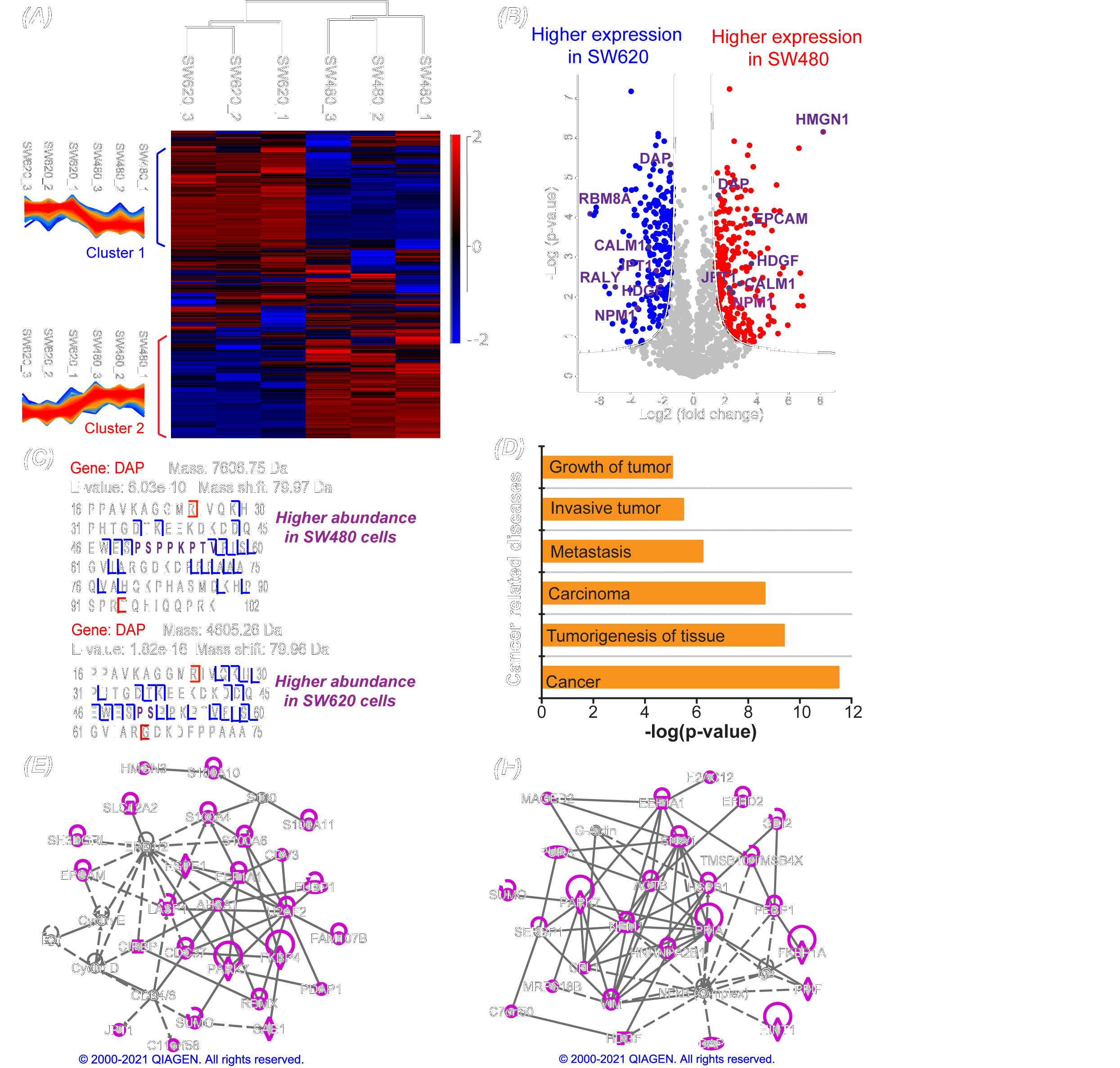 Analysis revealed statistically significant differences in proteoform abundance between the nonmetastatic and metastatic colorectal cancer cells.