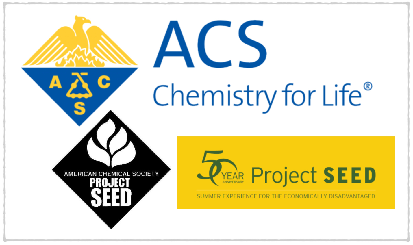 ACS project SEED