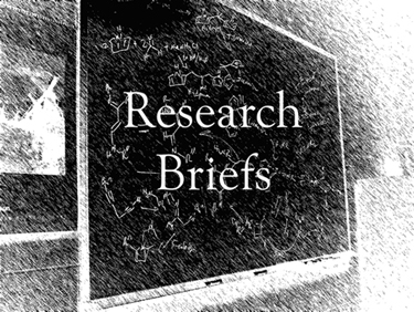 Photo of Research Briefs