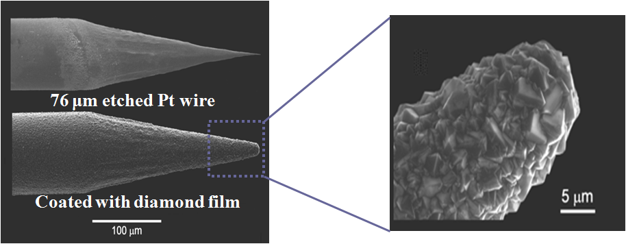 Diamond Microelectrodes