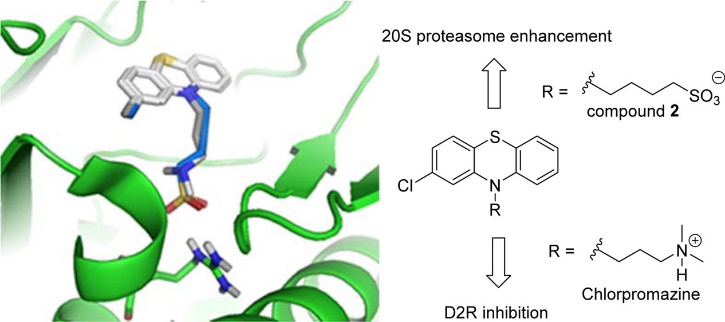 Small molecule enhancement of 20S proteasome activity targets intrinsically disordered proteins