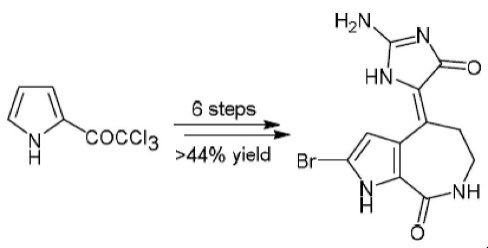 A concise total synthesis of hymenialdisine