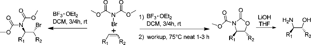 Hydroxyamination of olefins using Br-N-(CO2Me)2