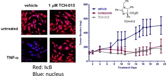 Noncompetitive modulation of the proteasome by imidazoline scaffolds overcomes bortezomib resistance and delays MM tumor growth in vivo