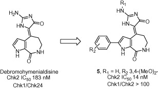 Synthesis and evaluation of debromohymenialdisine-derived Chk2 inhibitors