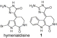 Potent Inhibition of Checkpoint Kinase Activity by a Hymenialdisine-derived Indoloazepine