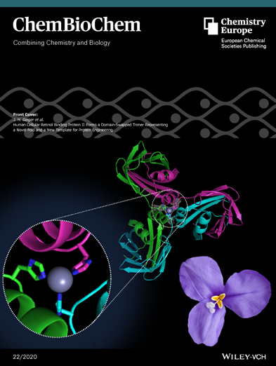 Chemistry Researchers Have Article Chosen for Cover in Recent Issue of ChemBioChem Cover
