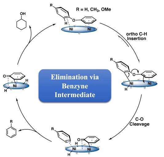 Elimination via Benzyne Intermediate