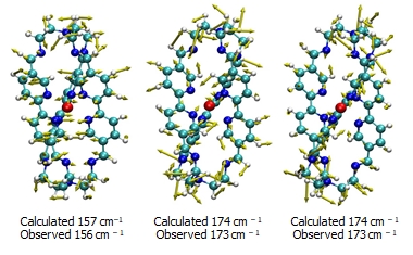 Vector displacement diagrams, calculated via density functional theory, of the observed coherently-excited vibrational modes of the caged metal-ligand structure used in this study.