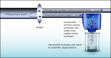 Reaping FRIB's Isotopes to Sow New Science