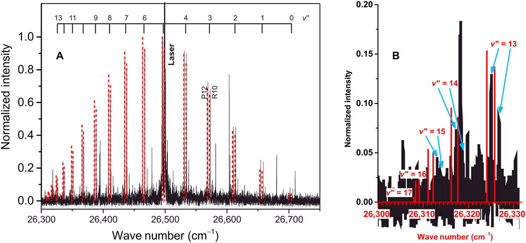 Comparison of the experimental LIF spectrum of 24Mg2 [black solid lines; adapted from H. KnÃ¶ckel et al., J. Chem. Phys. 138, 094303 (2013), with the permission of AIP Publishing] with its ab initio counterpart determined in this work (red lines). Image courtesy of the American Association for the Advancement of Science: S.H. Yuwono, I. Magoulas, and P. Piecuch, Science Advances 6 (14), eaay4058 (2020).