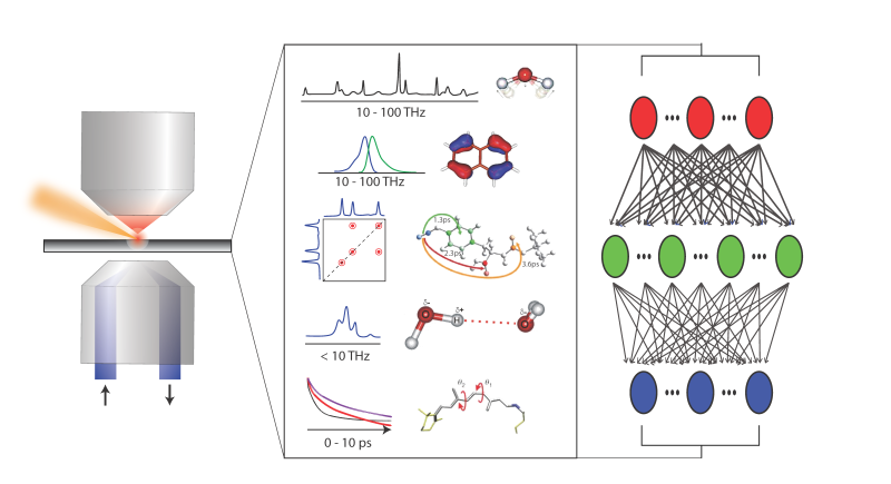 In-situ microscopy combined with various single-molecule and ensemble spectroscopies (THz, 2D, pump-probe, TR-PL, etc.) is used to generate high-quality data for deep learning.