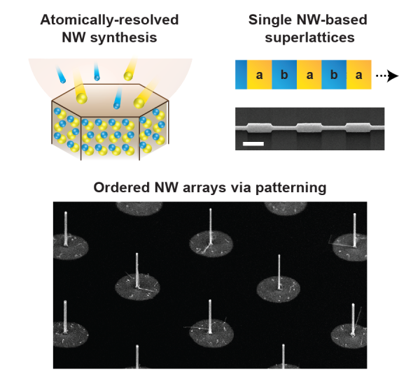 Figure 1. VLS growth of NWs, design of NW superlattices, and image of ordered NW arrays.
