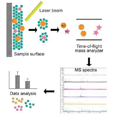 Figure 1. Illustration for the working principle of a MALDI-TOF mass spectrometer.