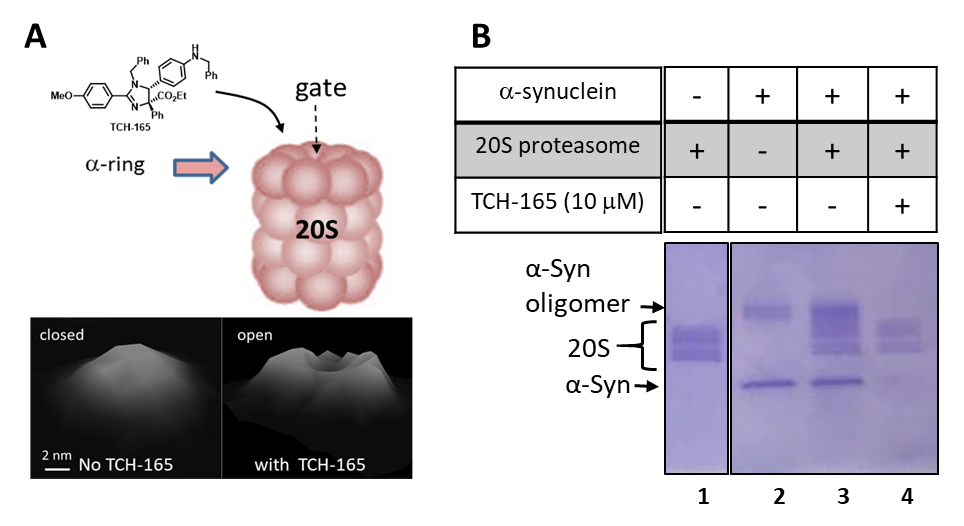 Fig 5