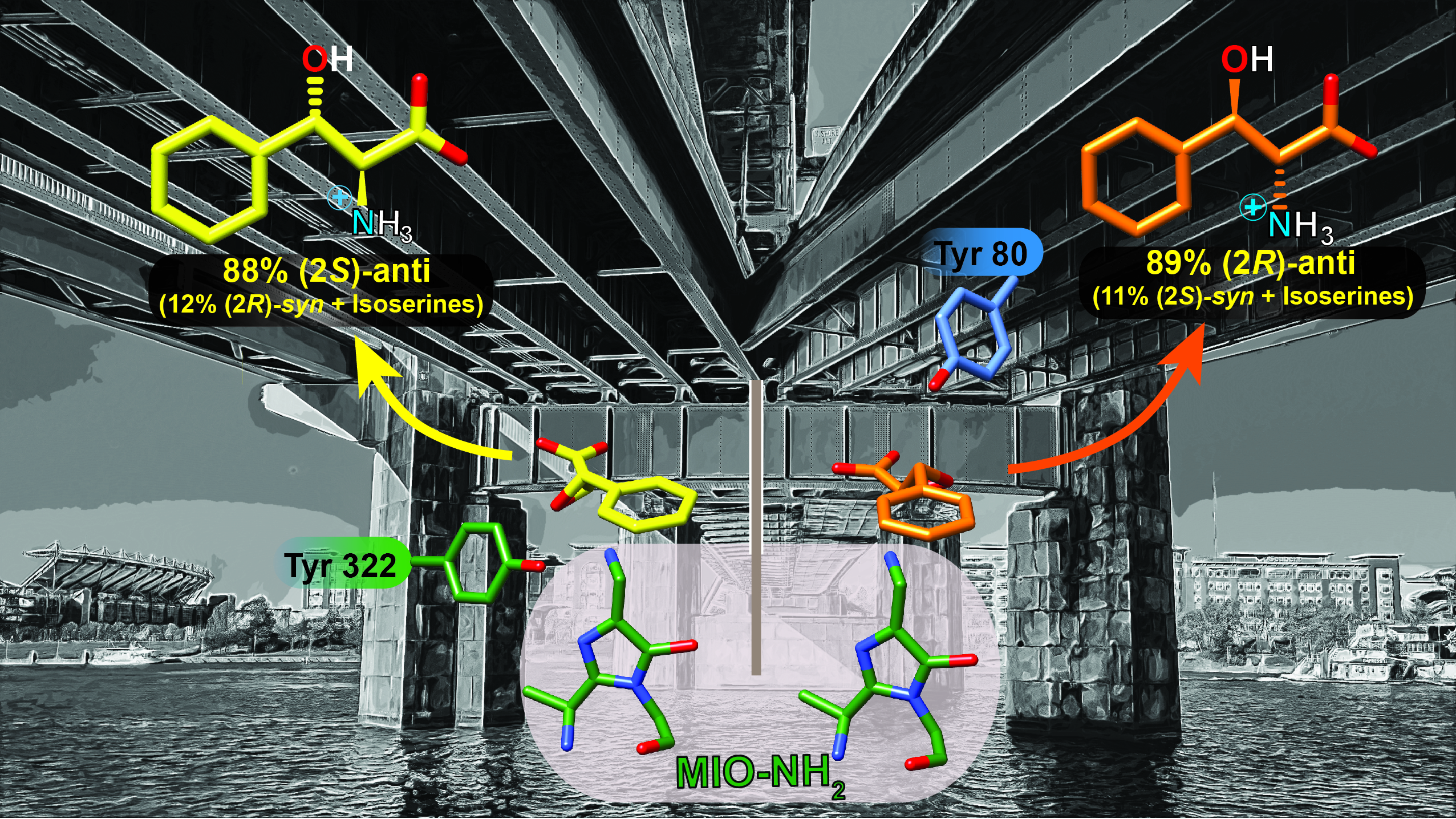 Bifurcation path TcPAM with epoxides