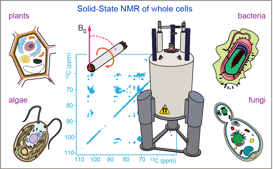 Diagram Description automatically generated