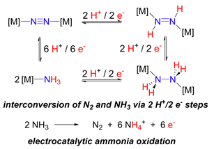 Interconversion of N2 and NH3 via 2H+/2 e- steps; electrocatalytic ammonia oxidation