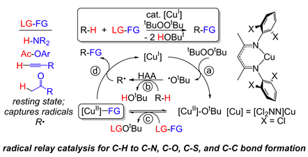 Radical relay catalysis for C-H to C-N, C-O, C-S, and C-C bond formation